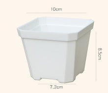 Load image into Gallery viewer, 10 pcs x 10cm Extra Thick White Plastic Garden Pots