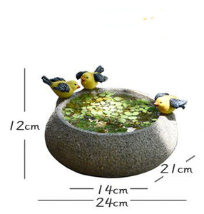 Resin pot for Aquatic plants - Birds