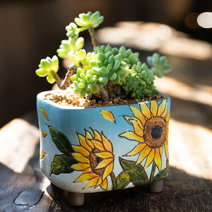 Ceramic Succulent Pot - Sunflower