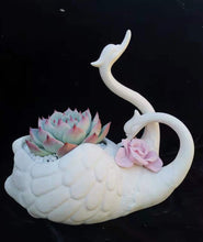Load image into Gallery viewer, Ceramic White Swan Pot