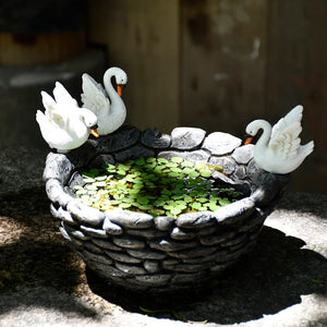 Resin Pot for Aquatic Plants - Swans