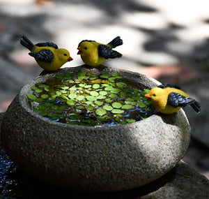 Resin pot for Aquatic plants - Birds